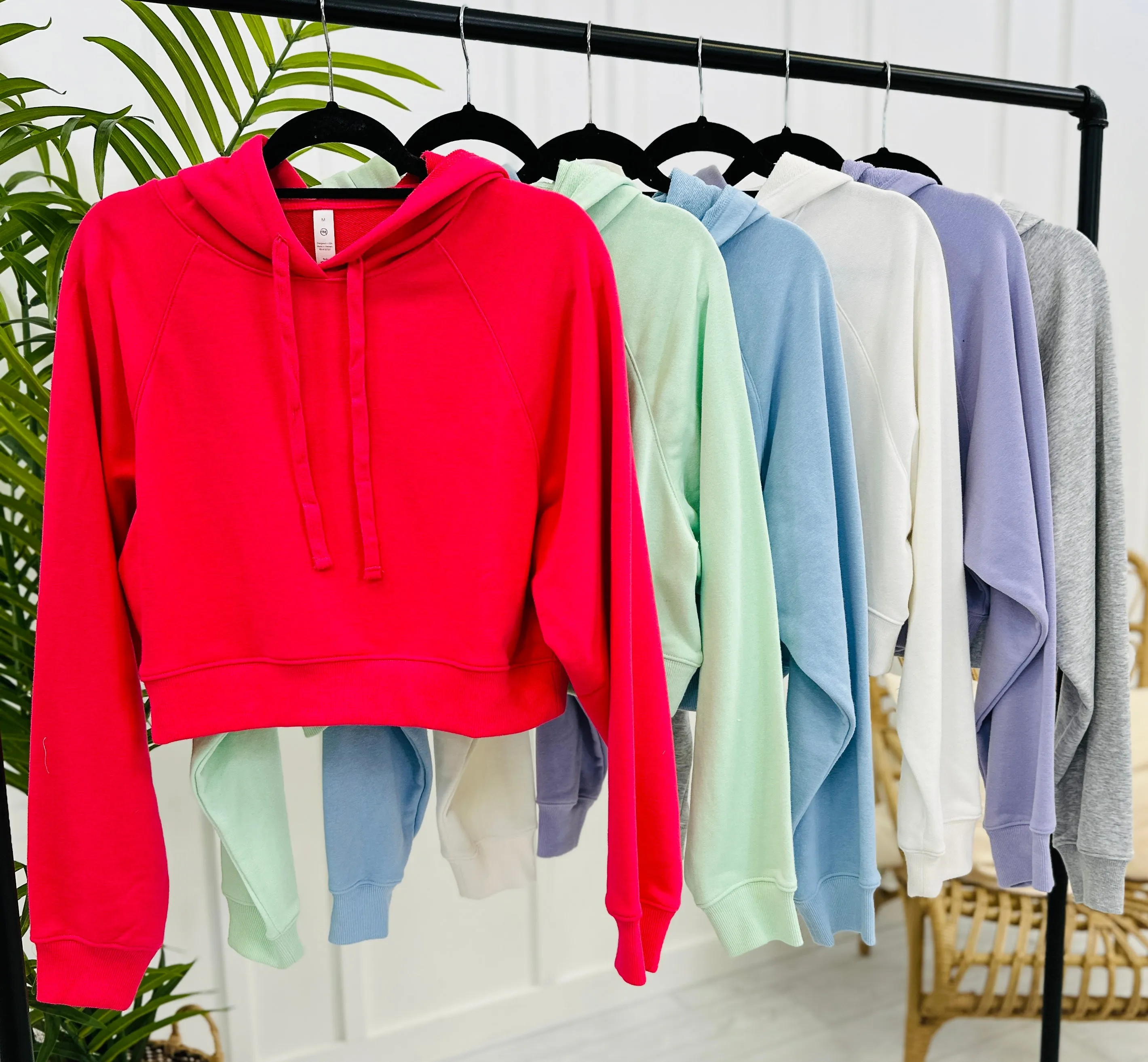 REG/CURVY Defining The Outcome Hoodie- Multiple Colors!